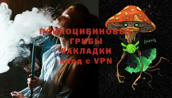 сатива Абинск